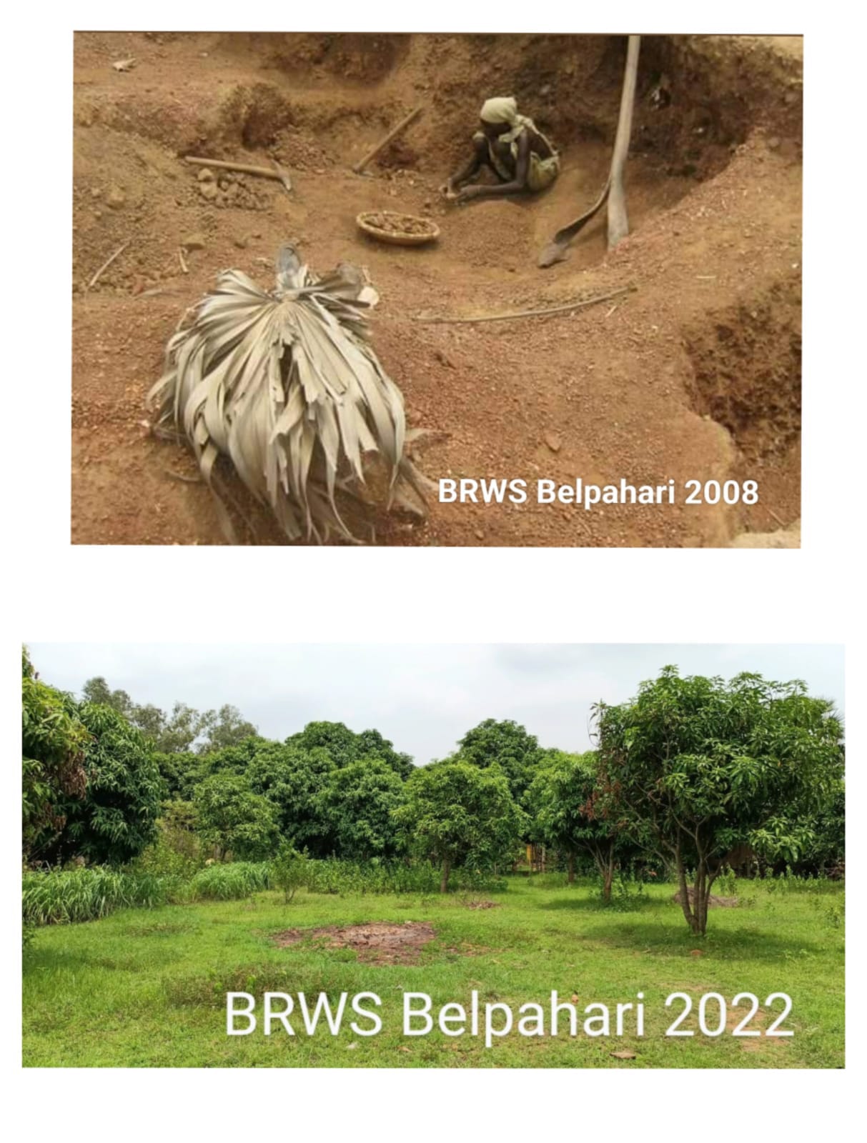 Balichua project activities