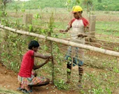 Sustainable agriculture initiatives